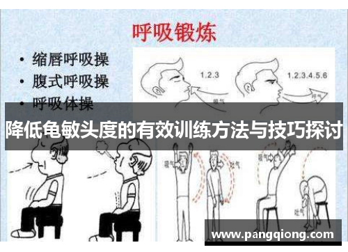 降低龟敏头度的有效训练方法与技巧探讨